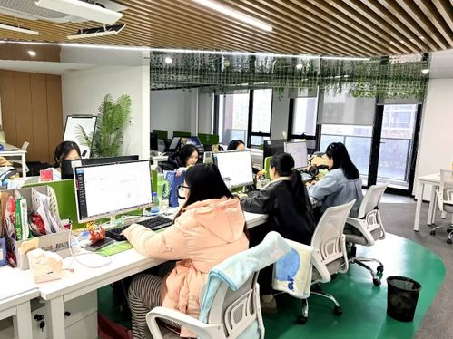 生鲜私域行业服务新范本 213集市“春节不打烊”背后的用户思维与信息咨询服务